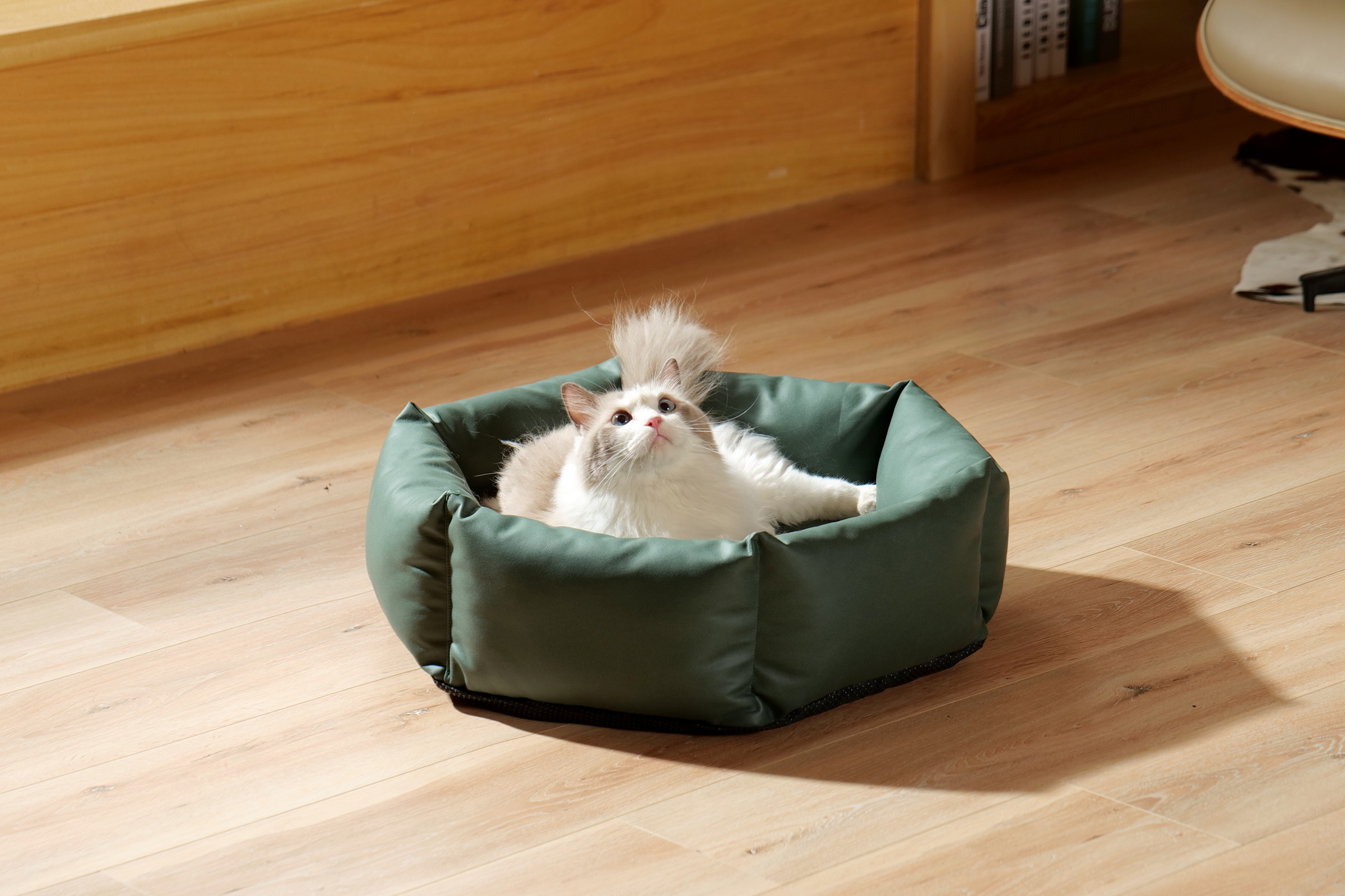 六边形绿色pu皮猫窝-1.jpg