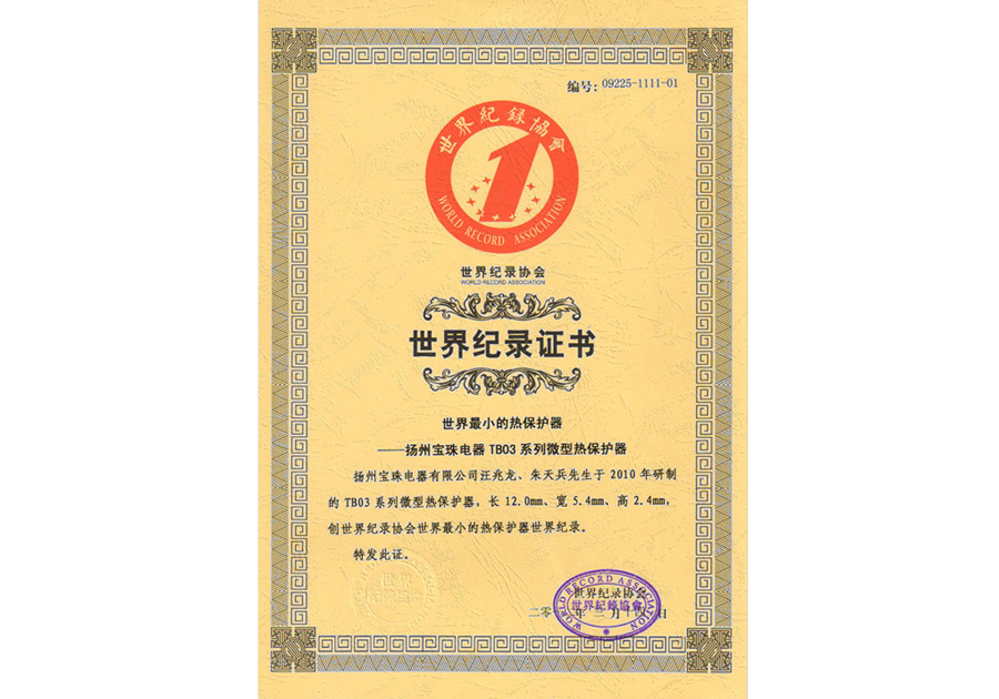 TB003世界最小體積熱保護(hù)器證書(shū)