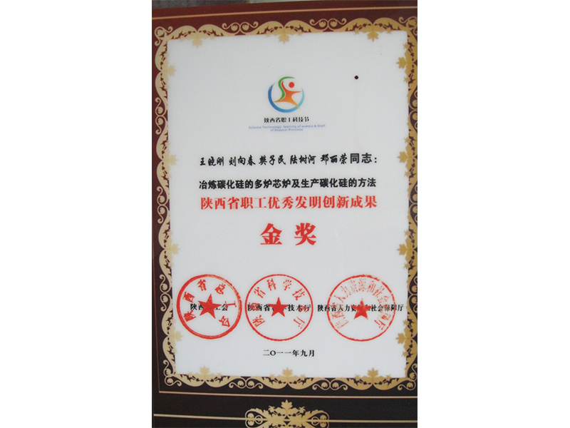 Gold Award for Outstanding Invention and Innovation Achievements of Employees in Shaanxi Province