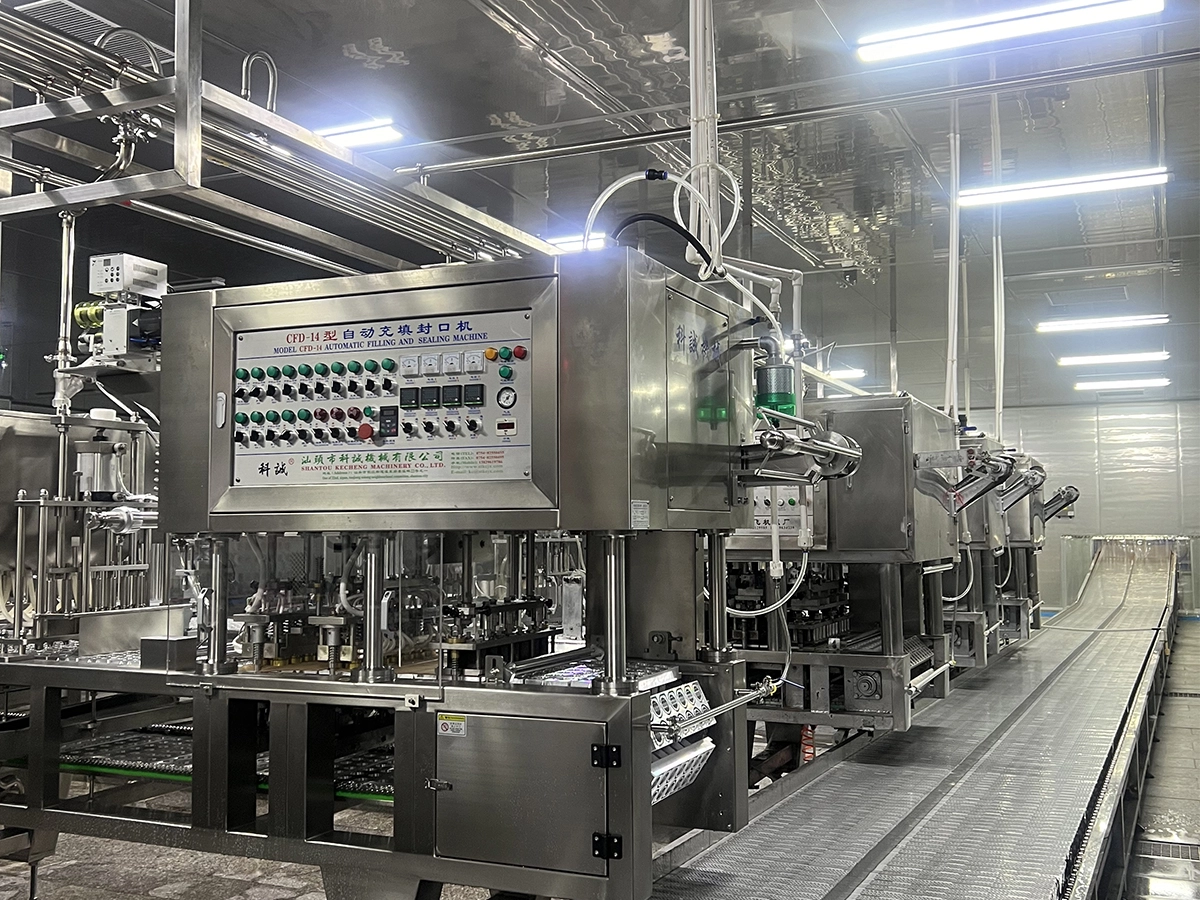 Disinfection line