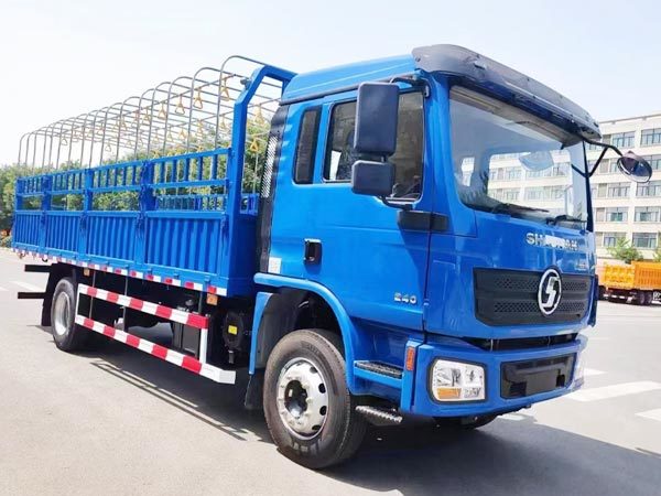 Shacman L3000 4x2 Light Cargo Truck
