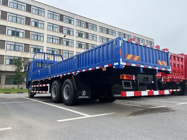 Good Condition New 6x4 10 Wheels Shacman Cargo Truck for Sale