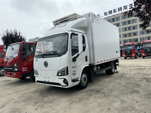 Shacman Original Manufacturer Low Oil Consumption Light Duty Refrigerator Truck Refrigerated Cargo Truck Freezer