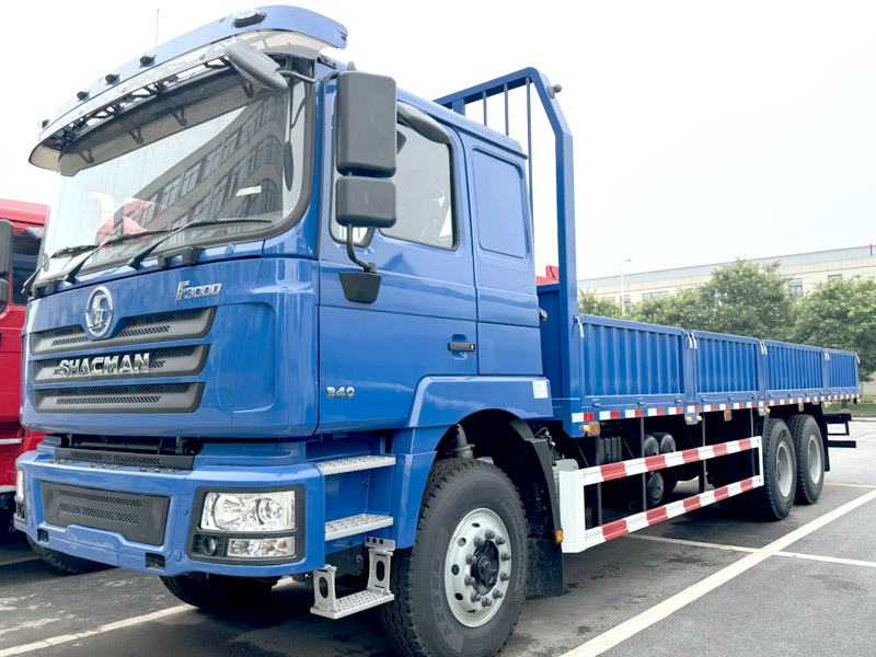 Good Condition New 6x4 10 Wheels Shacman Cargo Truck for Sale