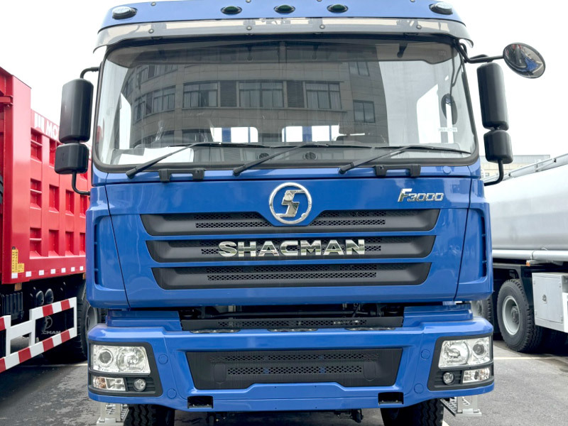 Good Condition New 6x4 10 Wheels Shacman Cargo Truck for Sale
