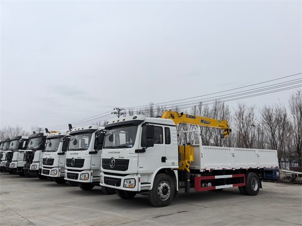 Shacman L3000 Crane Cargo Truck 4x2 Small Crane Truck 210hp Euro Ⅲ