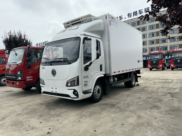 Shacman Original Manufacturer Low Oil Consumption Light Duty Refrigerator Truck Refrigerated Cargo Truck Freezer