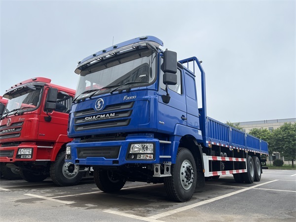 Good Condition New 6x4 10 Wheels Shacman Cargo Truck for Sale