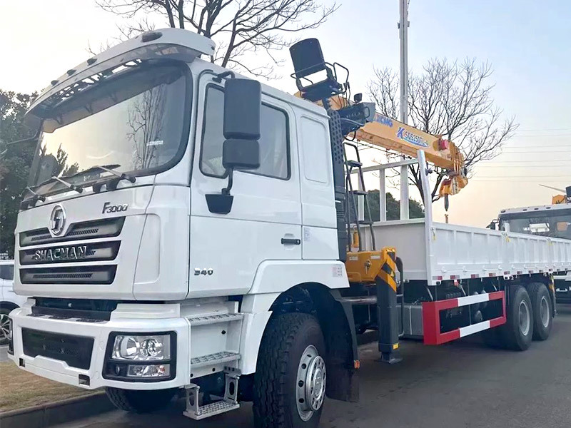 Factory Supply Shacman F3000 6X4 Crane Cargo Truck with Crane 340hp Engine