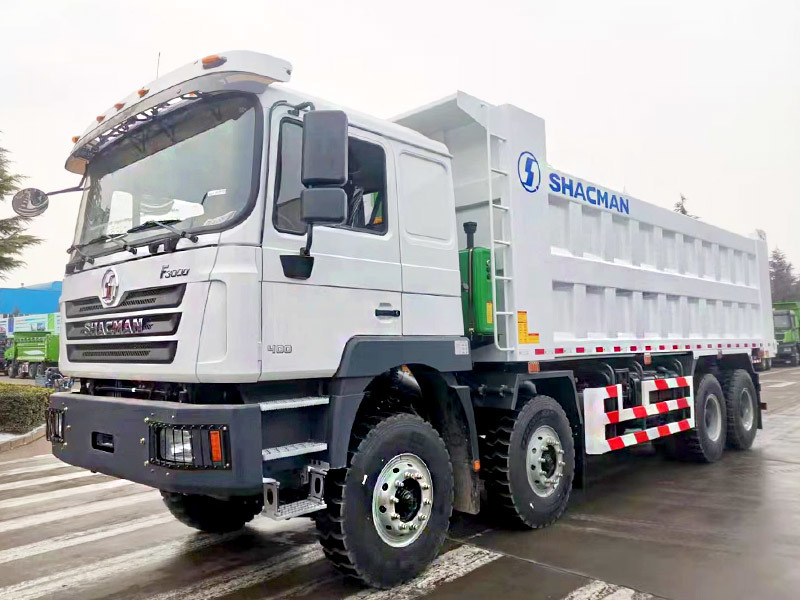 Célèbre Shacman F3000 8X4 40 tonnes camion à benne basculante camion lourd transport minier diesel