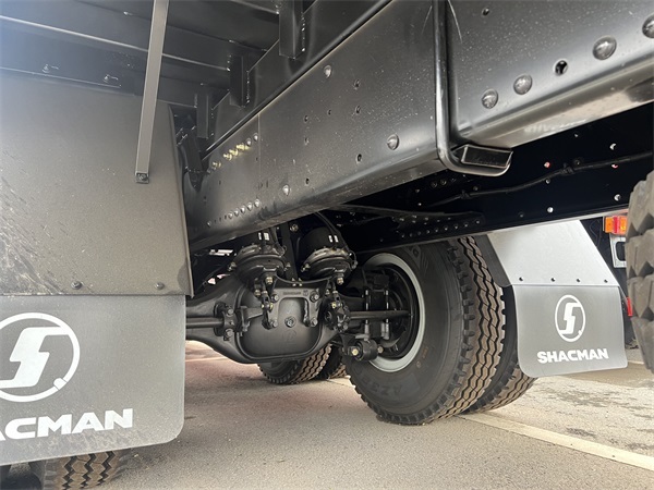 Good Condition New 6x4 10 Wheels Shacman Cargo Truck for Sale