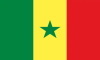 SENEGAL SHACMAN BEST-SELLING MODEL