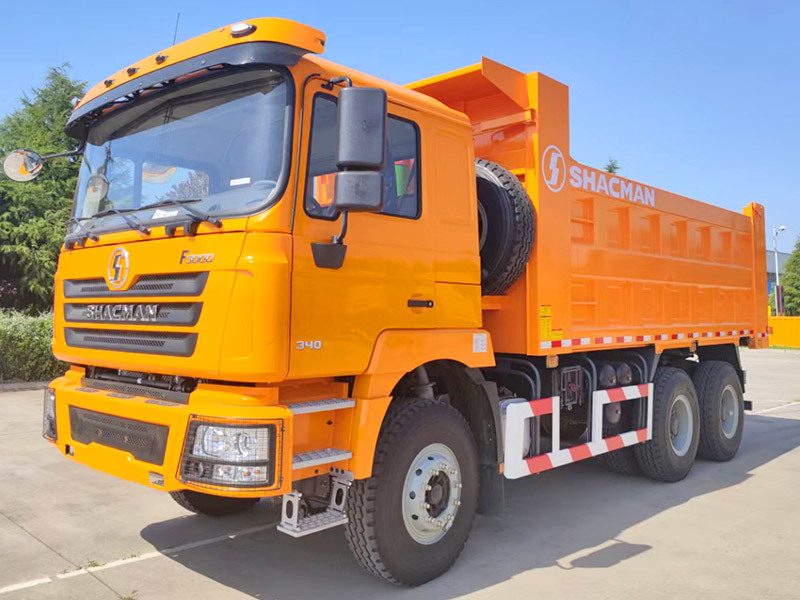 Le camion à benne basculante tout neuf de haute qualité de Shacman F3000 6x4 10 roule le camion à benne basculante