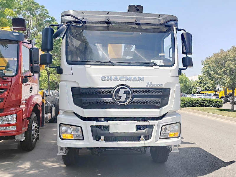 Camión de la caja del cargo del camión 8x4 380hp EuroII del cargo de la grúa de SHacman H3000