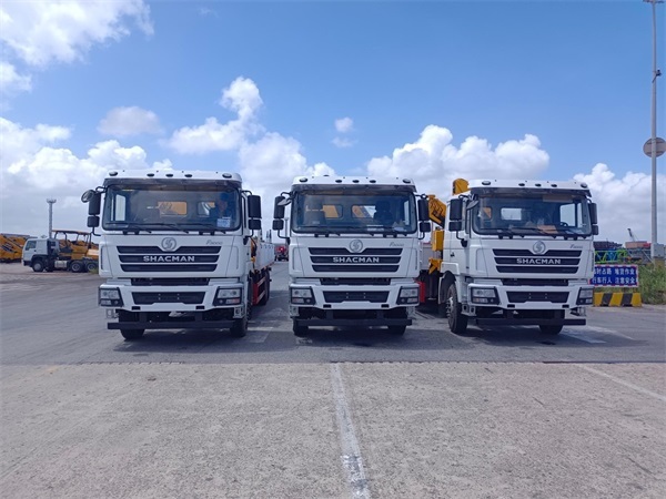 Shacman F3000 6X4  Cargo Truck with Crane 10 tons to 20 tons