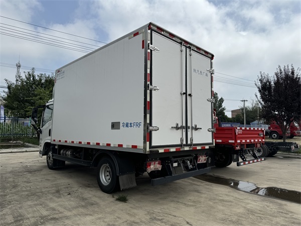 Shacman Original Manufacturer Low Oil Consumption Light Duty Refrigerator Truck Refrigerated Cargo Truck Freezer