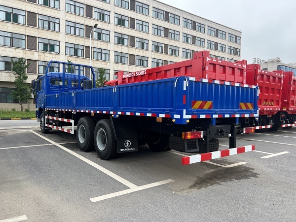 Good Condition New 6x4 10 Wheels Shacman Cargo Truck for Sale