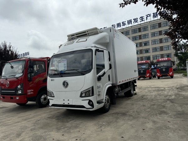 Shacman Original Manufacturer Low Oil Consumption Light Duty Refrigerator Truck Refrigerated Cargo Truck Freezer