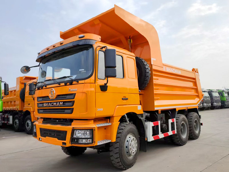 Nouveau 6x4 10 camion-de décharge de Shacman de roues de bonne condition à vendre