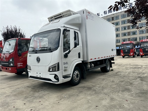 Shacman Original Manufacturer Low Oil Consumption Light Duty Refrigerator Truck Refrigerated Cargo Truck Freezer