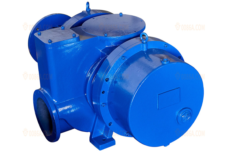 The roots vacuum pump