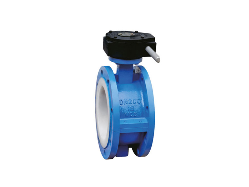 Fluorine lined valve series