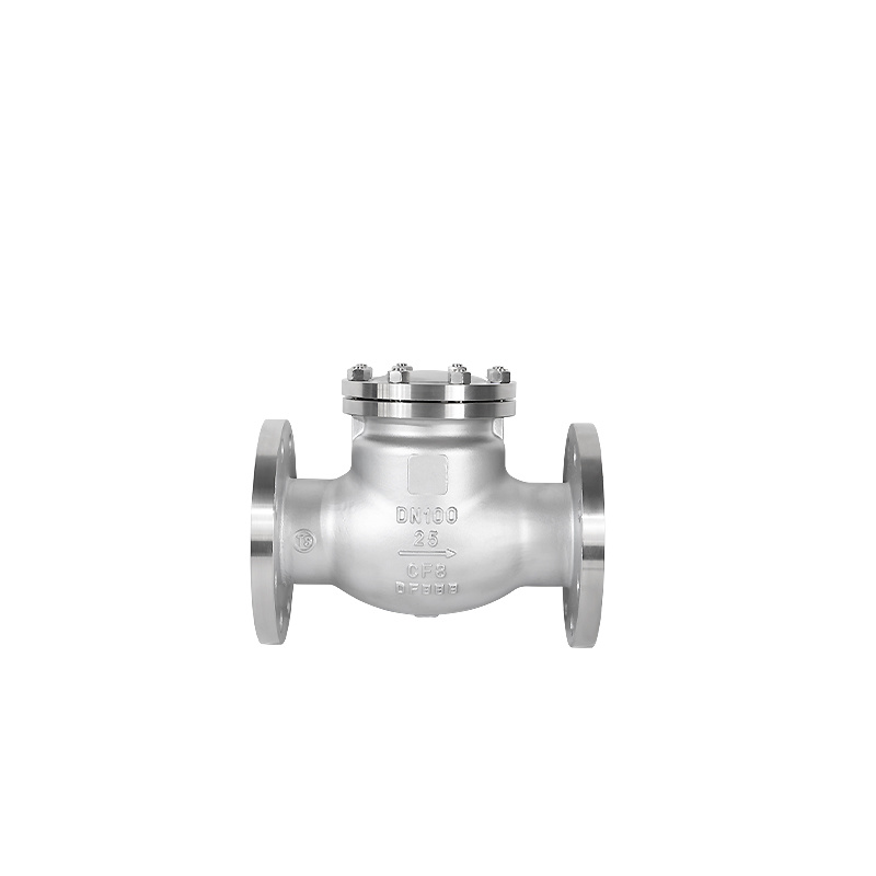 GB Flange-connected manual Check valve  H41H-25P DN100