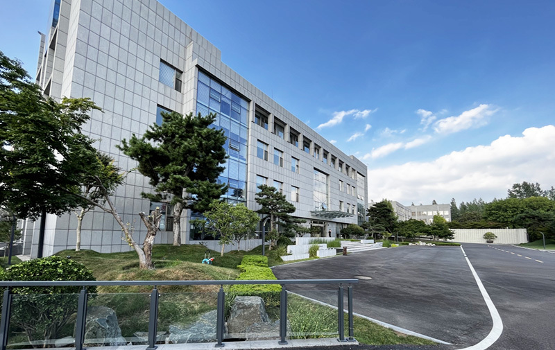 Company Environment