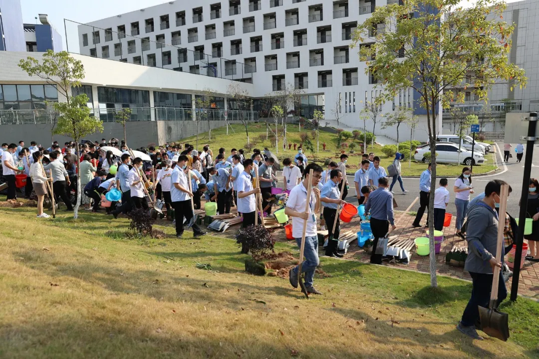 春风和煦，我们相约一起去植树吧！