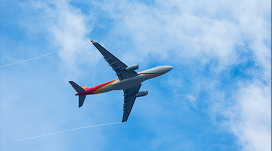 2024ʮй麣ʺպչ