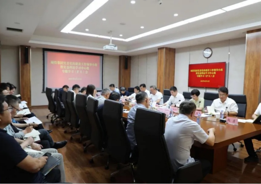 城投集團召開(kāi)黨的建設工作領(lǐng)導小組暨黨委理論學(xué)習中心組專(zhuān)題學(xué)習（擴大）會(huì )