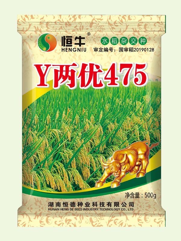 Y两优475