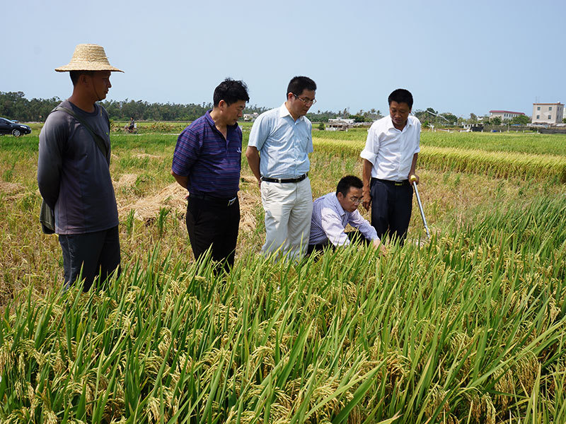 湖南省种子管理局周志魁局长视察海南基地