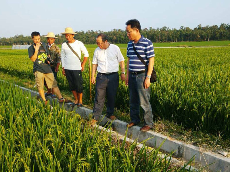 中国农大孙教授、安徽农科院张教授考察海南基地