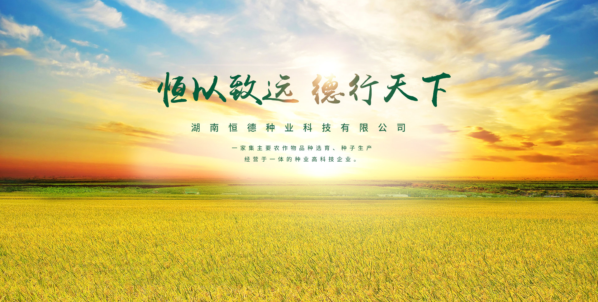 湖南恒德種業(yè)科技有限公司