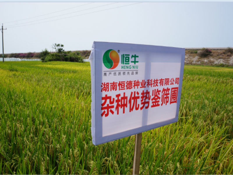 海南科研基地