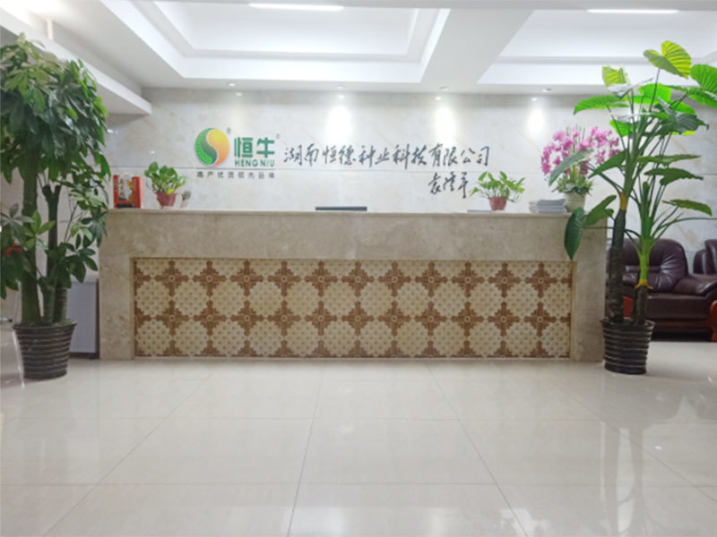 办公楼前台