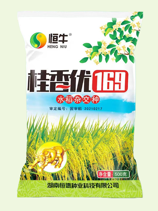 桂香优169