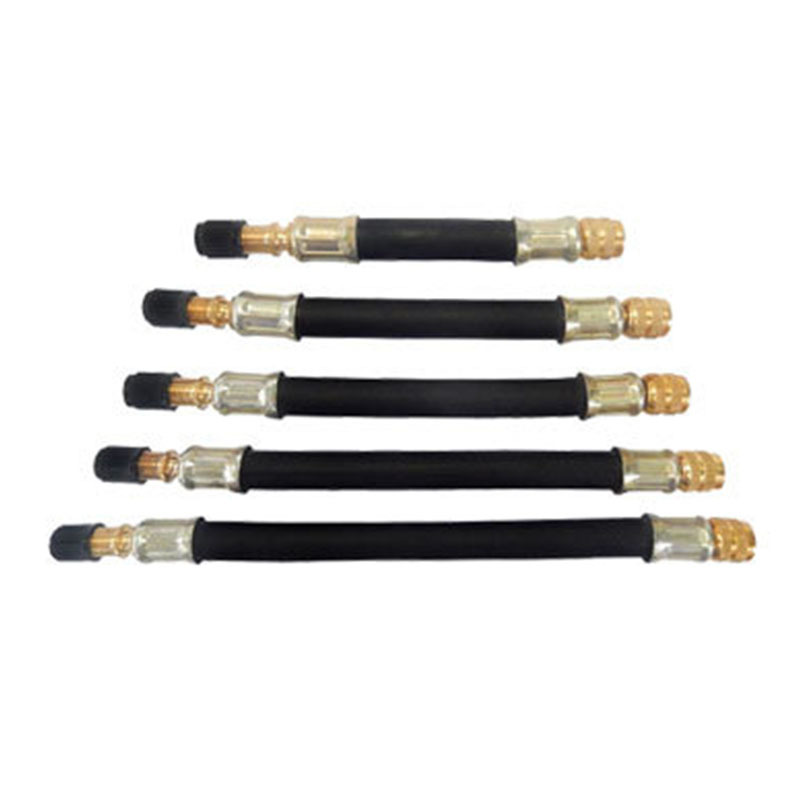 Tire extension hose