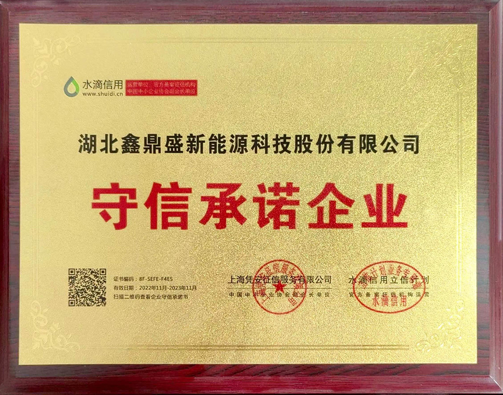 Promise of Integrity for Enterprises Promise of Integrity for Enterprises