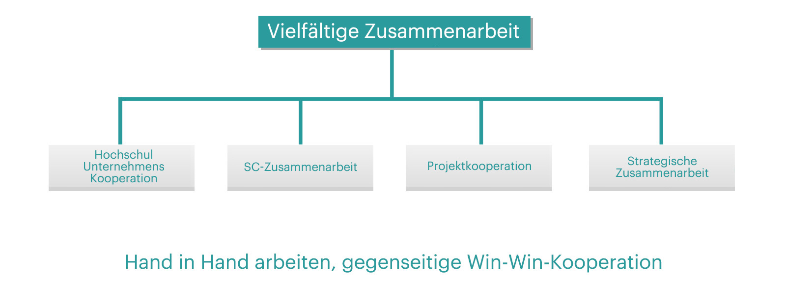Zusammenarbeit