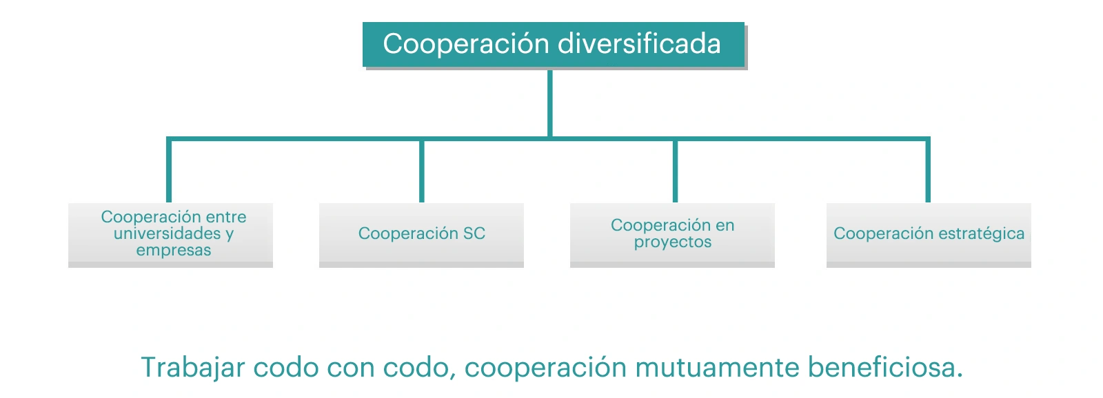  Cooperación empresarial 