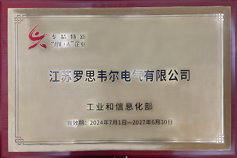 国家专精特新小巨人企业