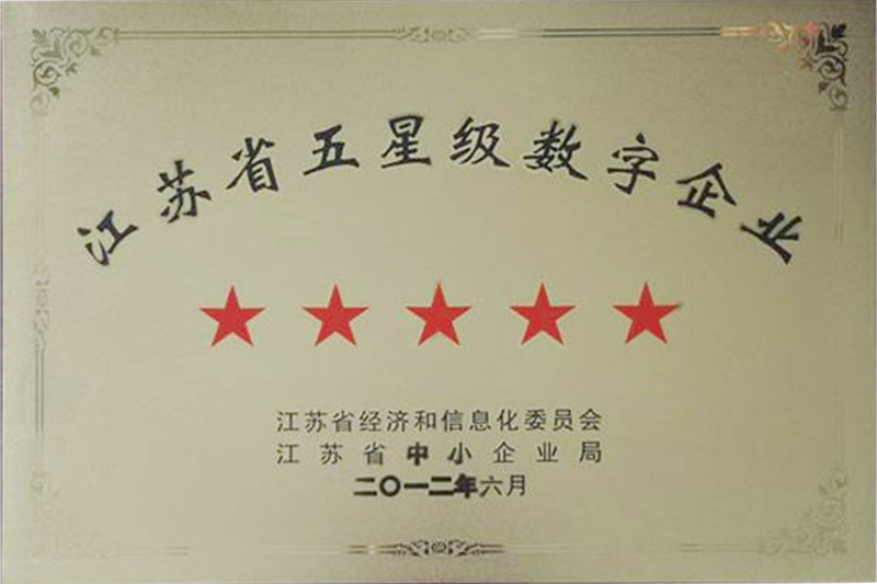 江苏省五星级数字企业