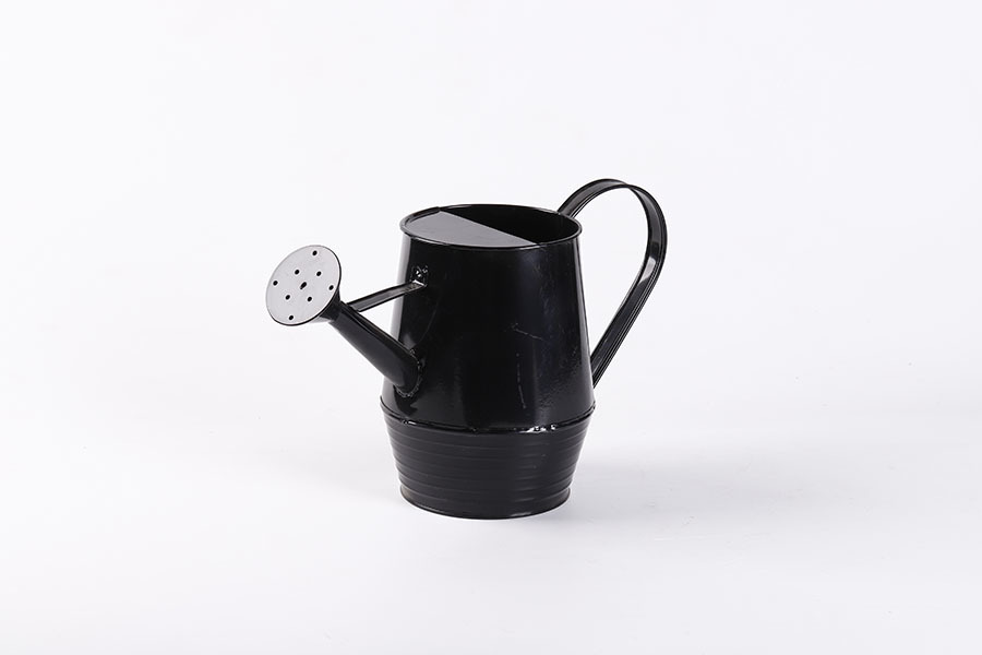 Watering Can