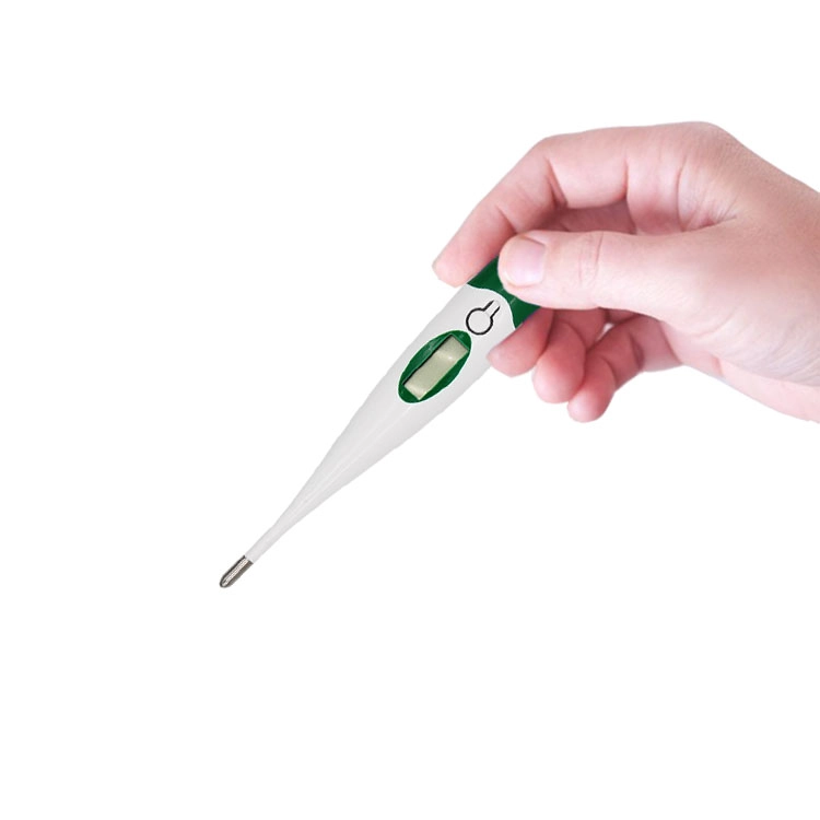 Digital Thermometer