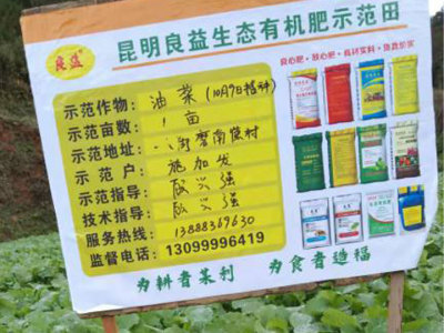 油菜種植地施用良益有機肥生長第46天的效果