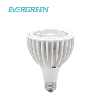 High Lumen PAR30L