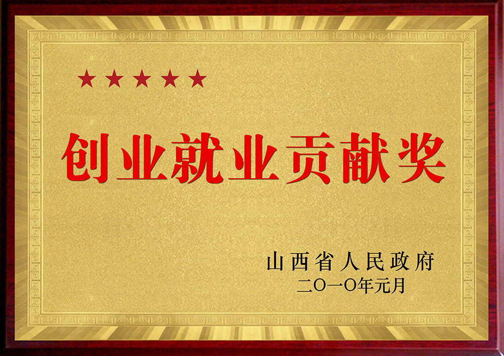 In January 2010, the Shanxi Provincial People's Government awarded the "Entrepreneurship and Employment Contribution Award"