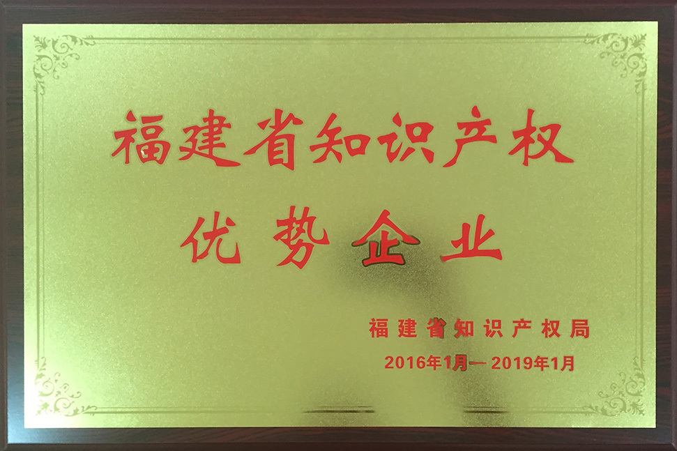 Fujian Province Intellectual Property Advantage Enterprise